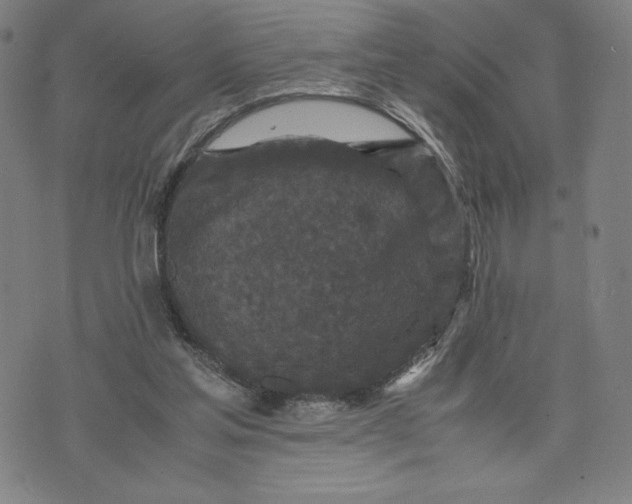 X0000071790205200607211630