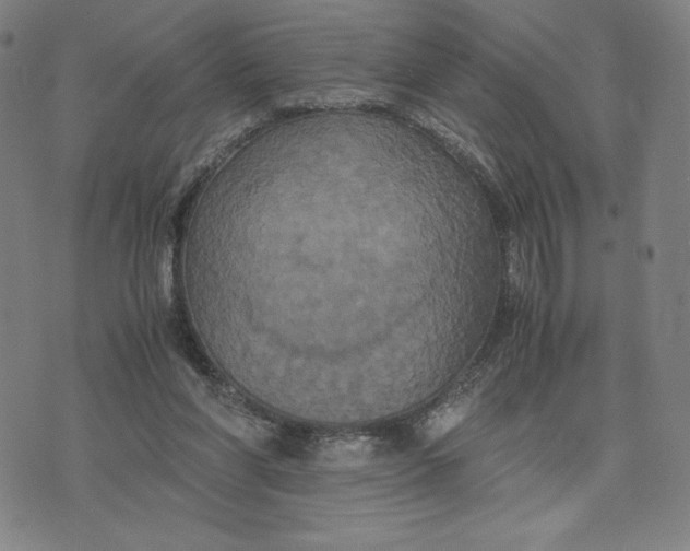 X0000071790206200607211630