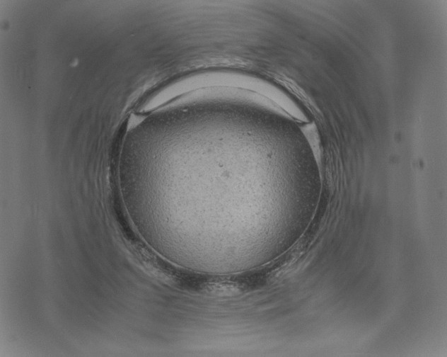 X0000071790207200607211630