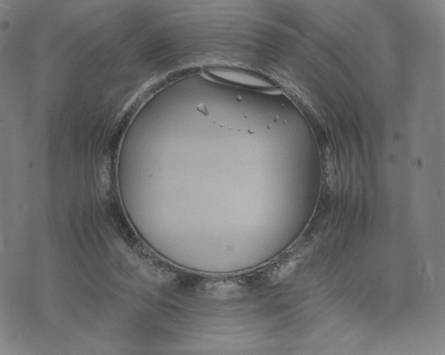 X0000071790208200607211630