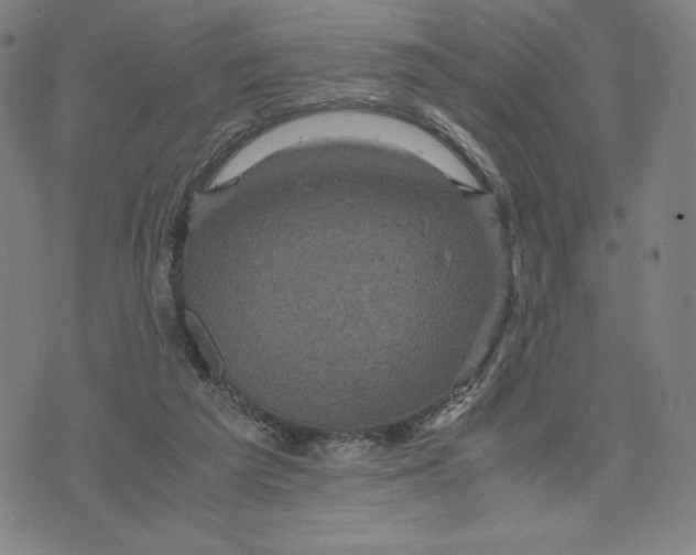 X0000071790209200607211630