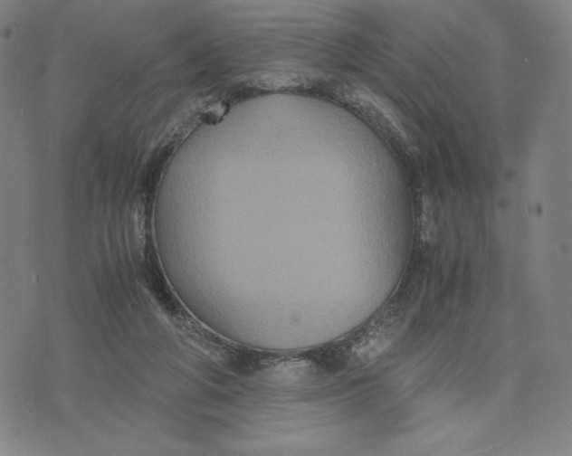 X0000071790210200607211630