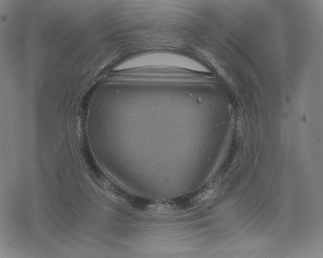 X0000071790211200607211630