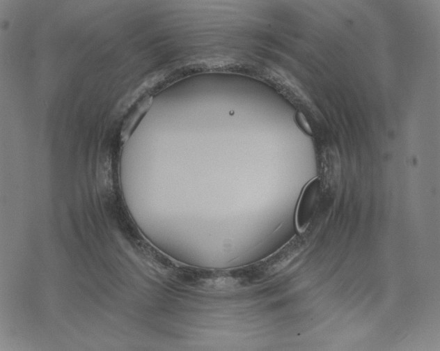 X0000071790212200607211630