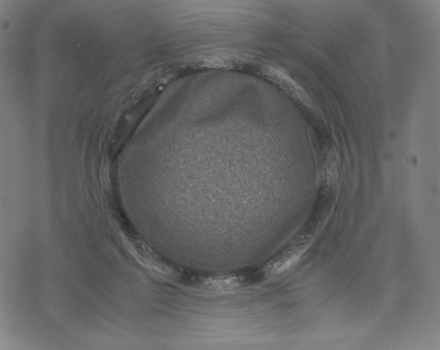 X0000071790213200607211630