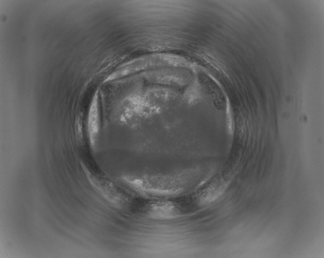 X0000071790214200607211630