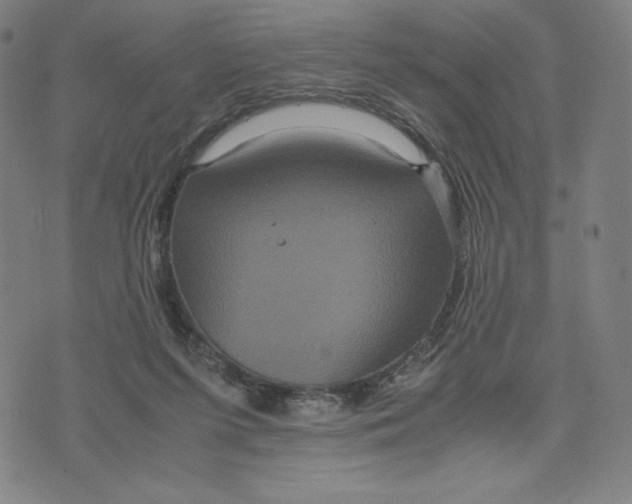 X0000071790215200607211630