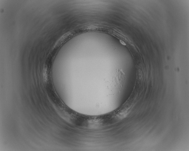 X0000071790216200607211630