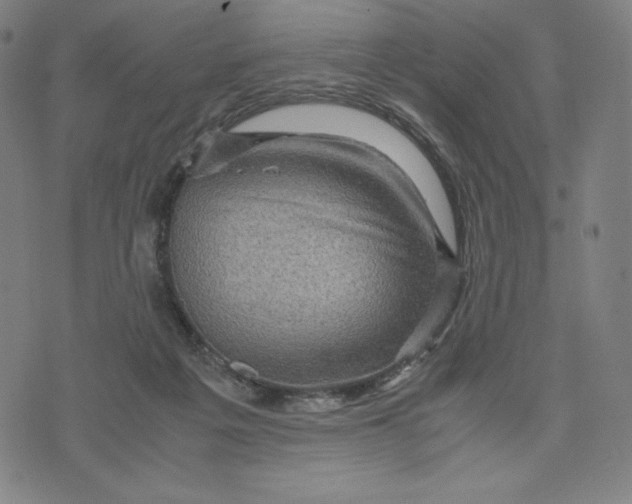 X0000071790217200607211630