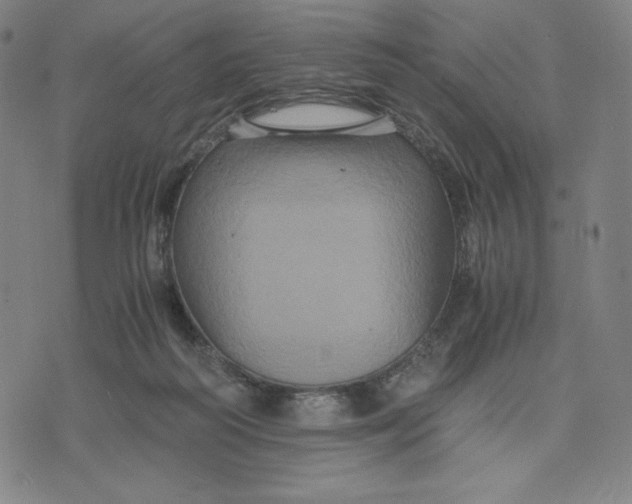 X0000071790218200607211630