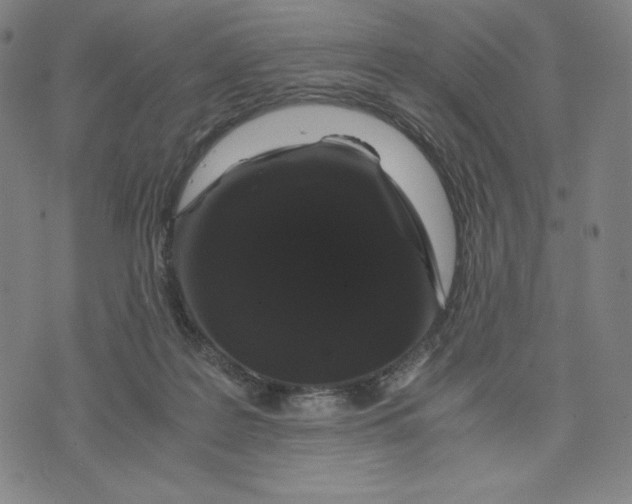 X0000071790219200607211630