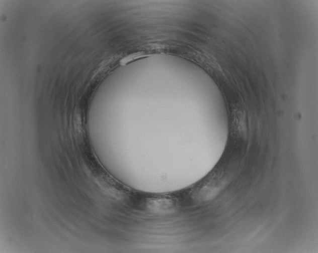 X0000071790220200607211630