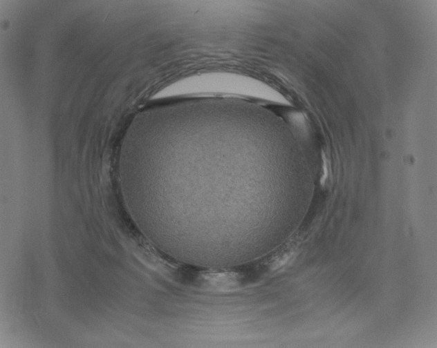 X0000071790221200607211630