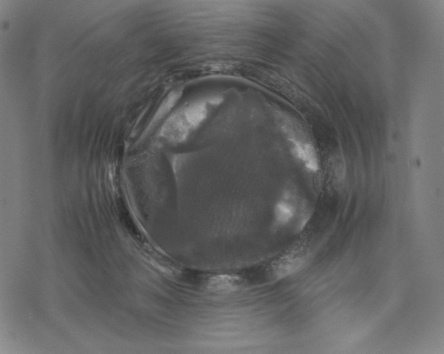 X0000071790222200607211630