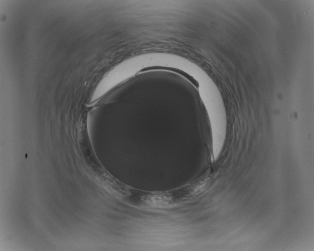 X0000071790223200607211630