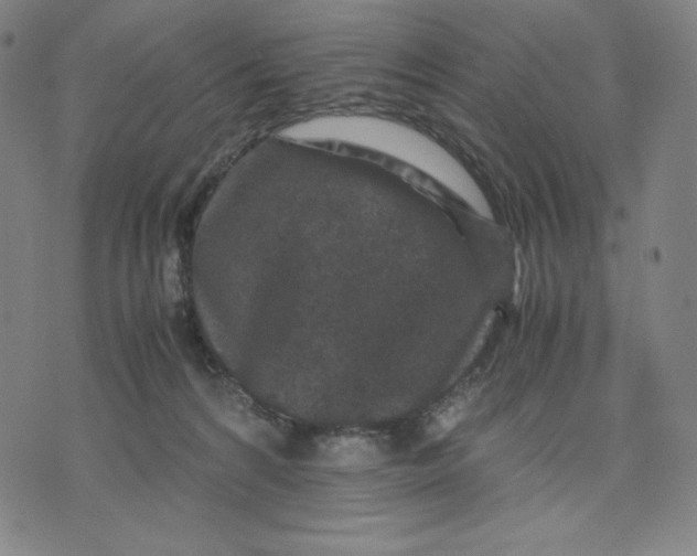 X0000071790224200607211630