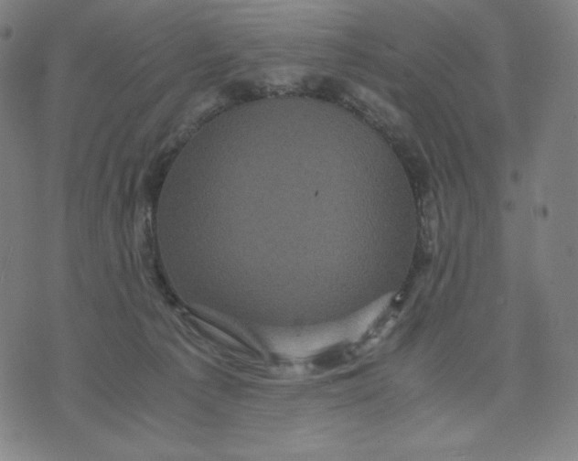 X0000071790225200607211630