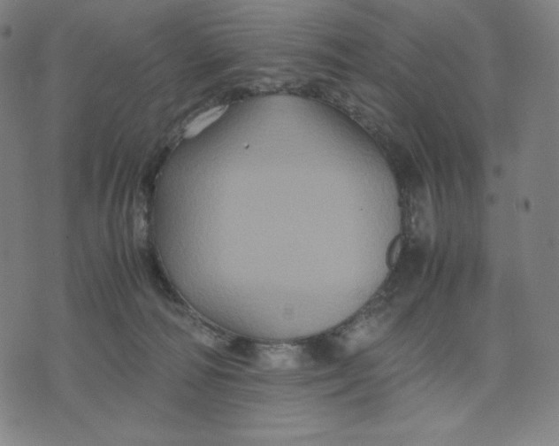 X0000071790226200607211630