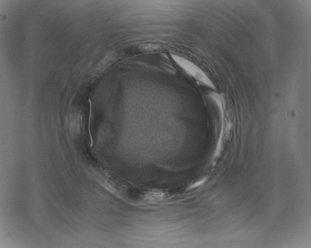 X0000071790227200607211630