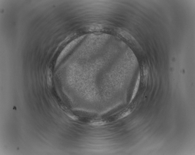 X0000071790228200607211630