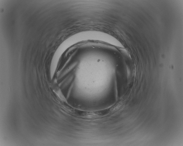 X0000071790229200607211630