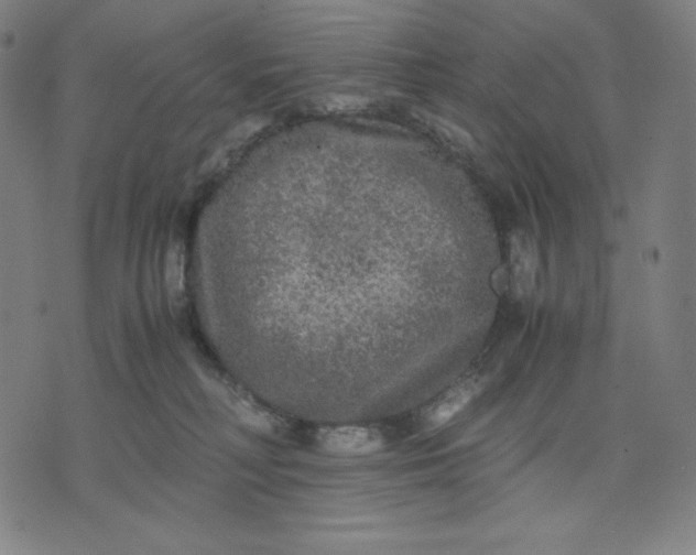 X0000071790230200607211630