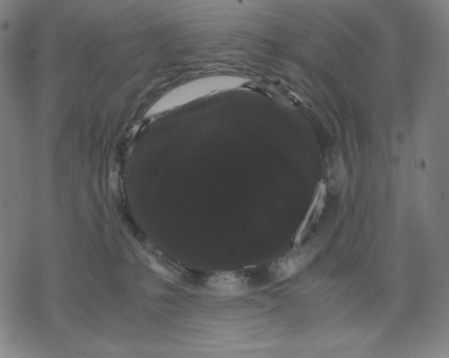 X0000071790231200607211630