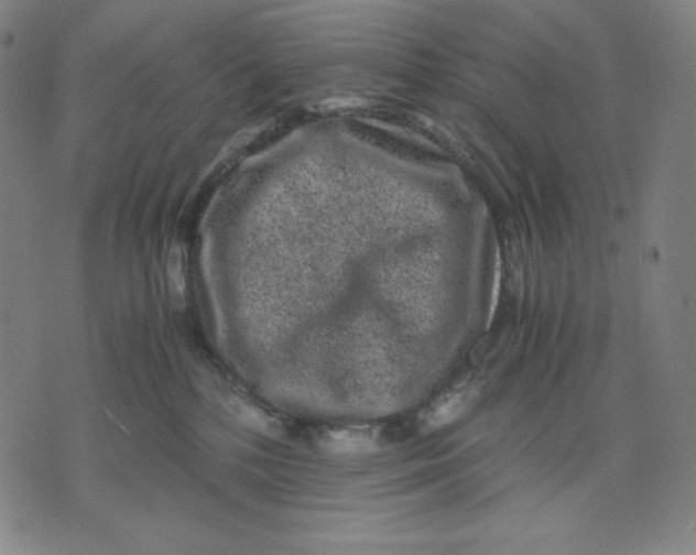 X0000071790232200607211630