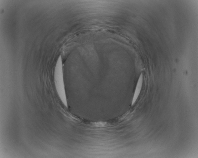 X0000071790233200607211630