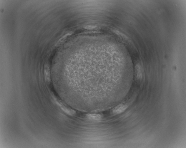 X0000071790234200607211630