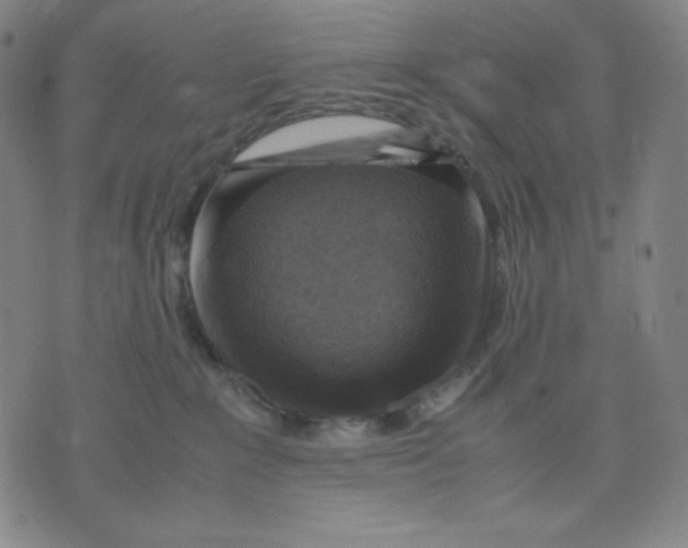 X0000071790235200607211630