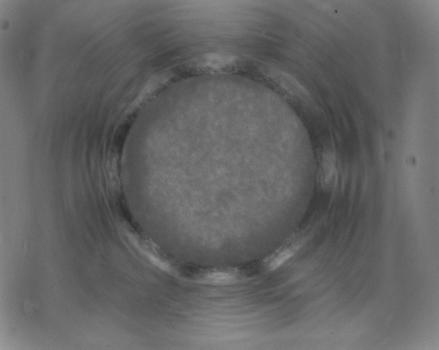 X0000071790236200607211630