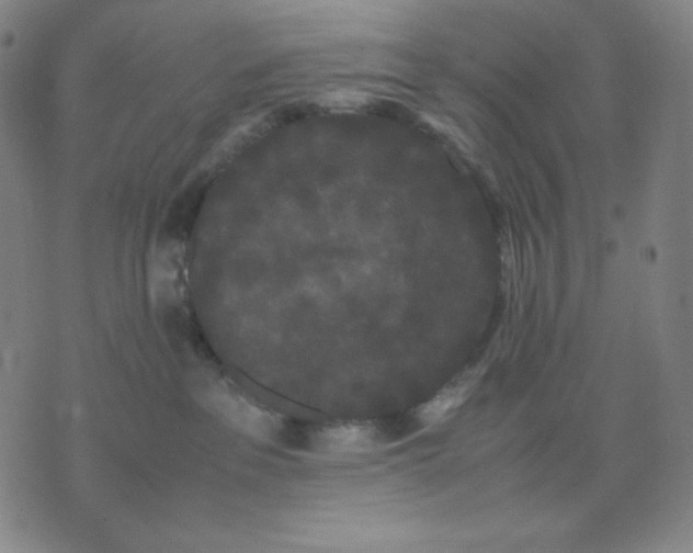 X0000071790237200607211630