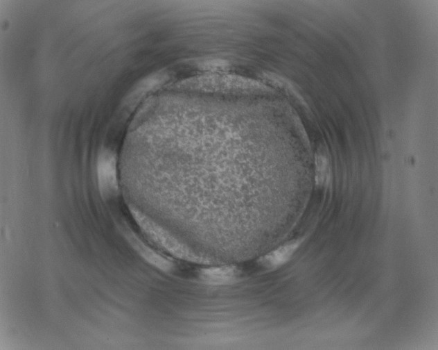 X0000071790238200607211630