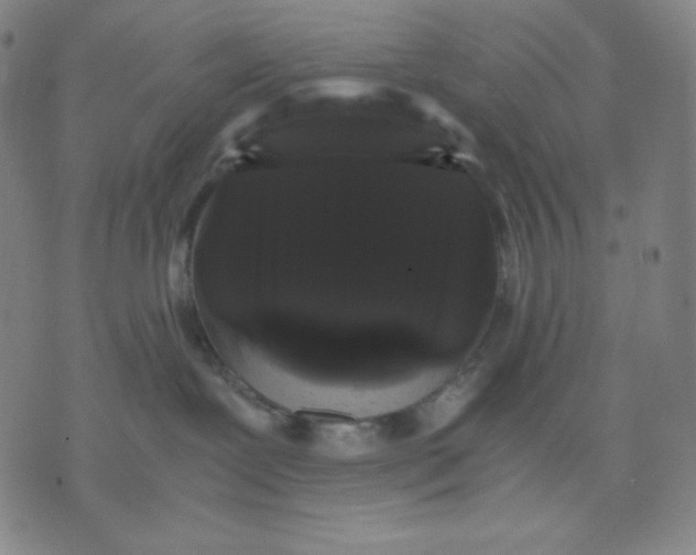 X0000071790239200607211630