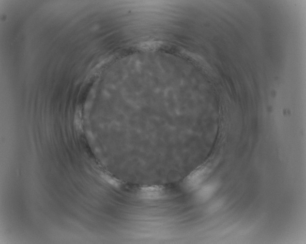 X0000071790240200607211630