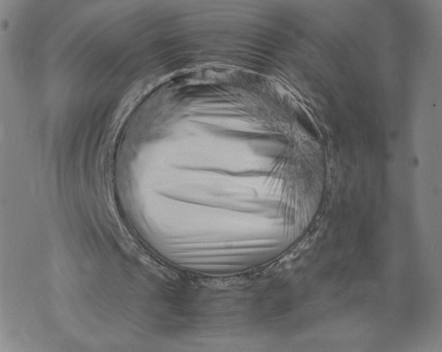 X0000071790241200607211629