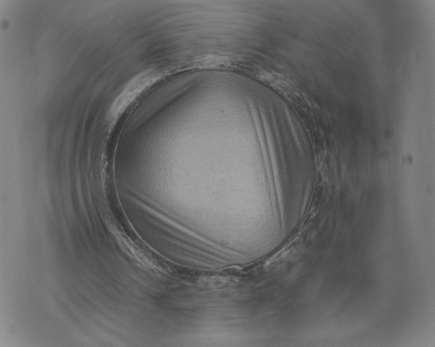 X0000071790242200607211629