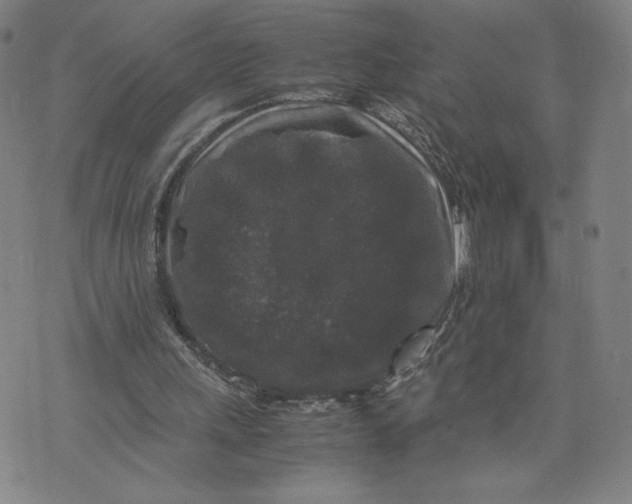 X0000071790243200607211629