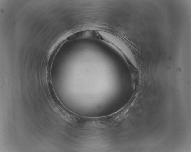 X0000071790244200607211629