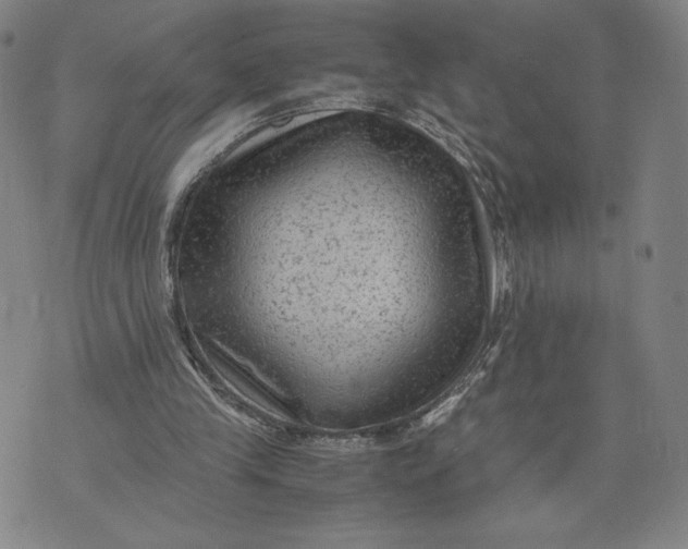 X0000071790245200607211629