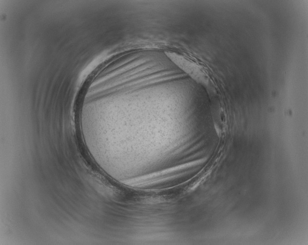 X0000071790246200607211629