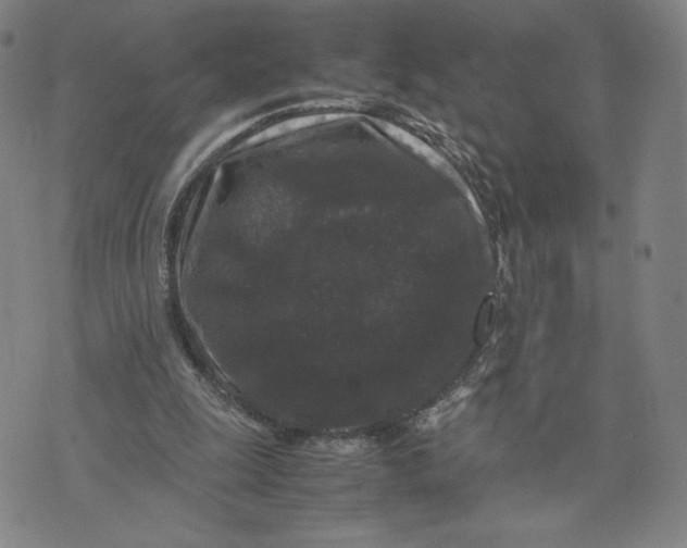 X0000071790247200607211629