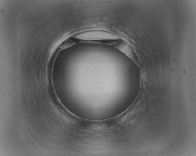 X0000071790248200607211629