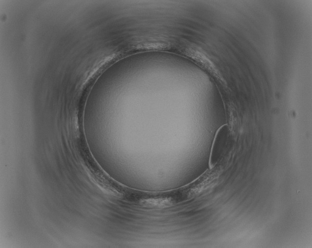 X0000071790251200607211629