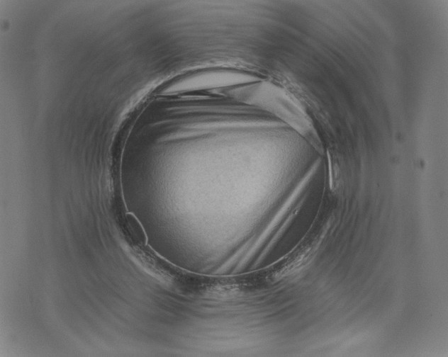 X0000071790252200607211629