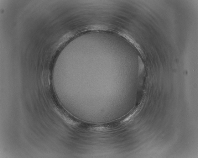 X0000071790253200607211629