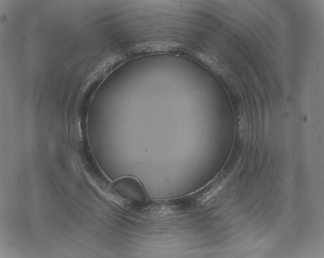 X0000071790254200607211629