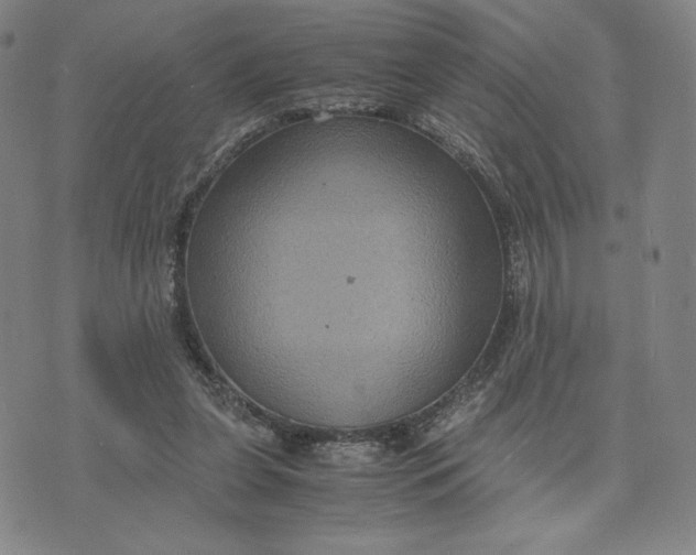 X0000071790255200607211629