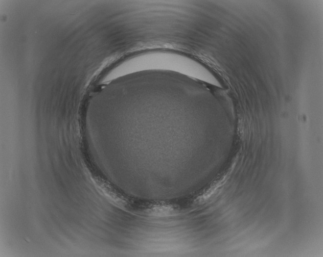 X0000071790256200607211629